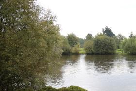 Etang du Breuil